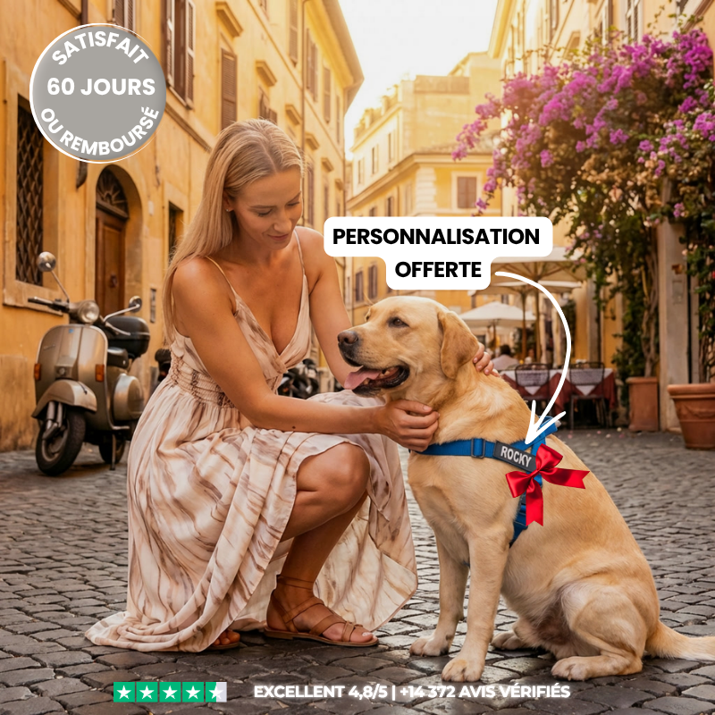 Kit Complet Anti-Traction Veltrio™ - Il ne vous promène plus. Vous le tenez à un doigt