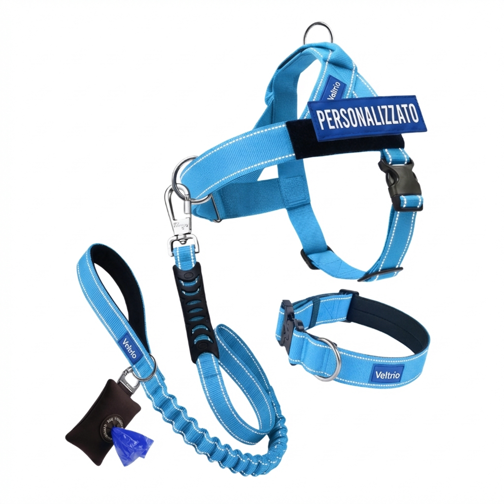 Kit Complet Anti-Traction Veltrio™ - Il ne vous promène plus. Vous le tenez à un doigt