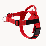 Kit Complet Anti-Traction Veltrio™  - Il ne vous promène plus. Vous le tenez à un doigt